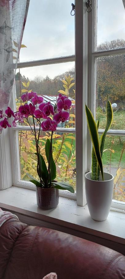 Pilane B&B Langekarr Zewnętrze zdjęcie