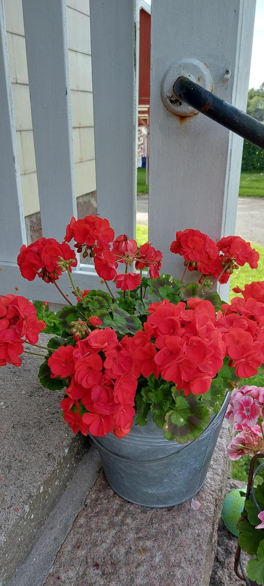 Pilane B&B Langekarr Zewnętrze zdjęcie